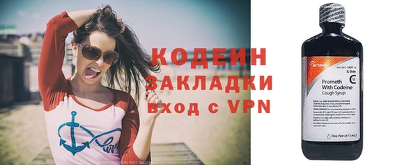 гашик Кулебаки