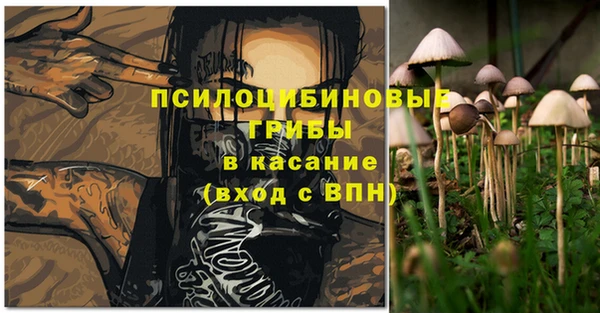 альфа пвп Алексеевка